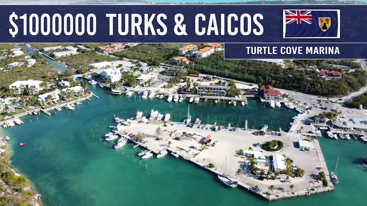Turtle Cove Marina where $$$ Talks.
