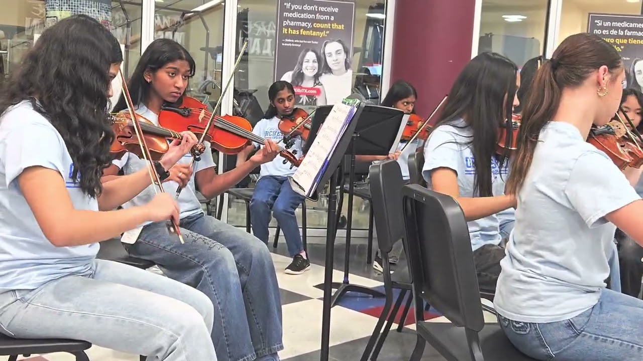 Final performance at fine arts Orchestra 🎨 