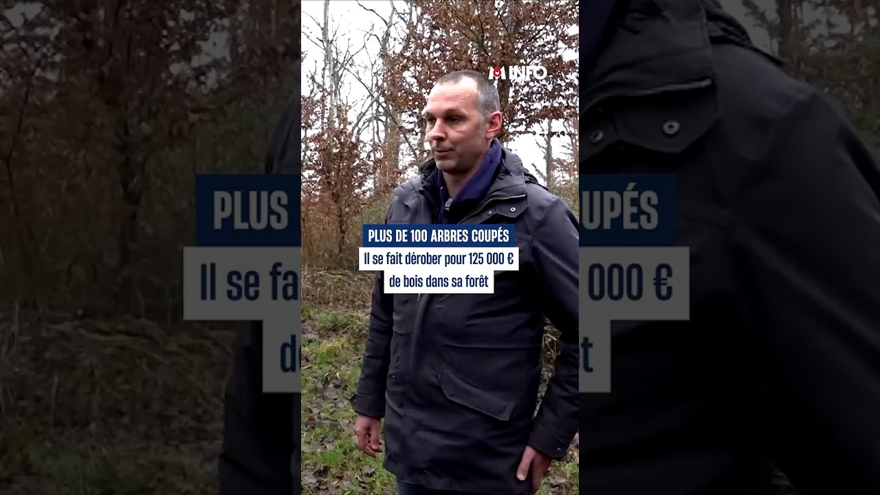 Il se fait d&eacute;rober 125 000 &euro; de bois dans sa for&ecirc;t