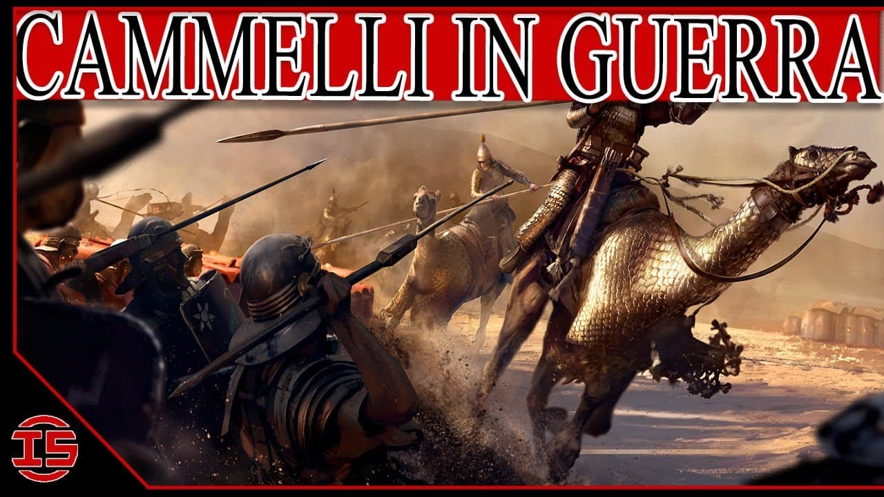 PUZZOLENTI E NEMICI DEL CAVALLO: i CAMMELLI da GUERRA nel Mondo ANTICO