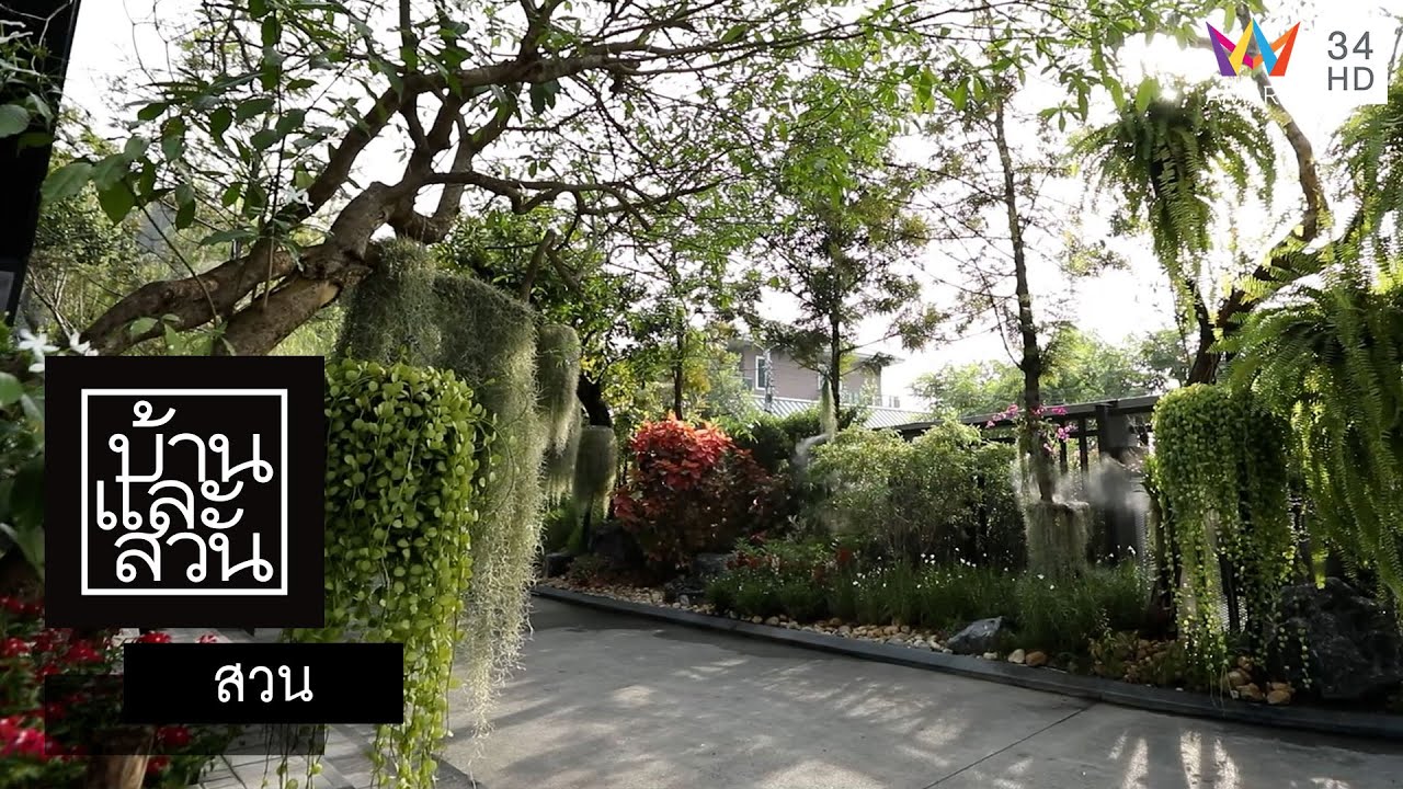 บ้านและสวน | สวน | 10cc Coffee and Co