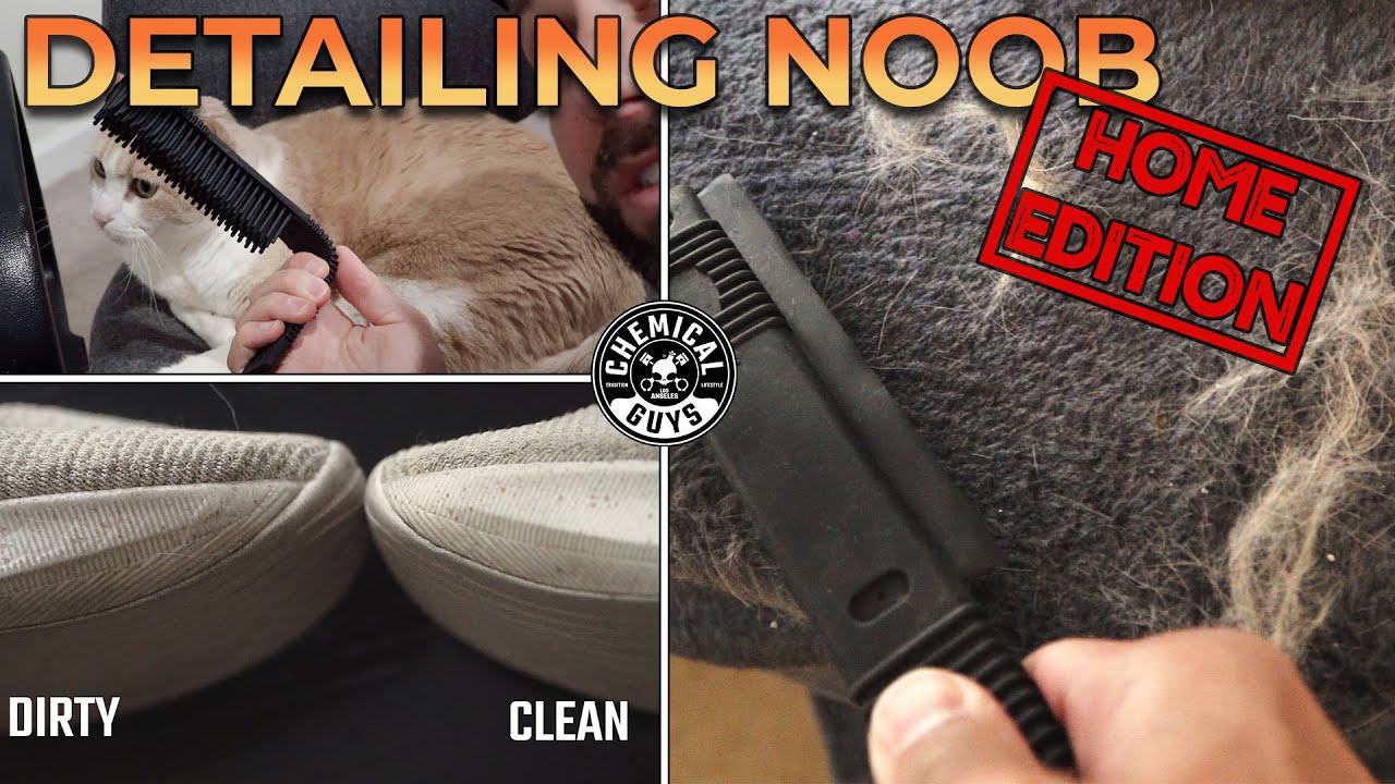 How To Remove Pet Hair! Newbie at Home Guide - Chemical Guys