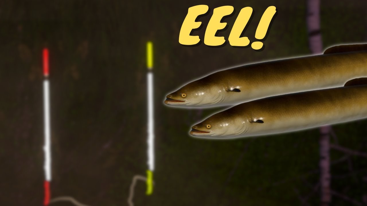 EEL FISHING ON WAGGLERS! #865 Russian fishing 4