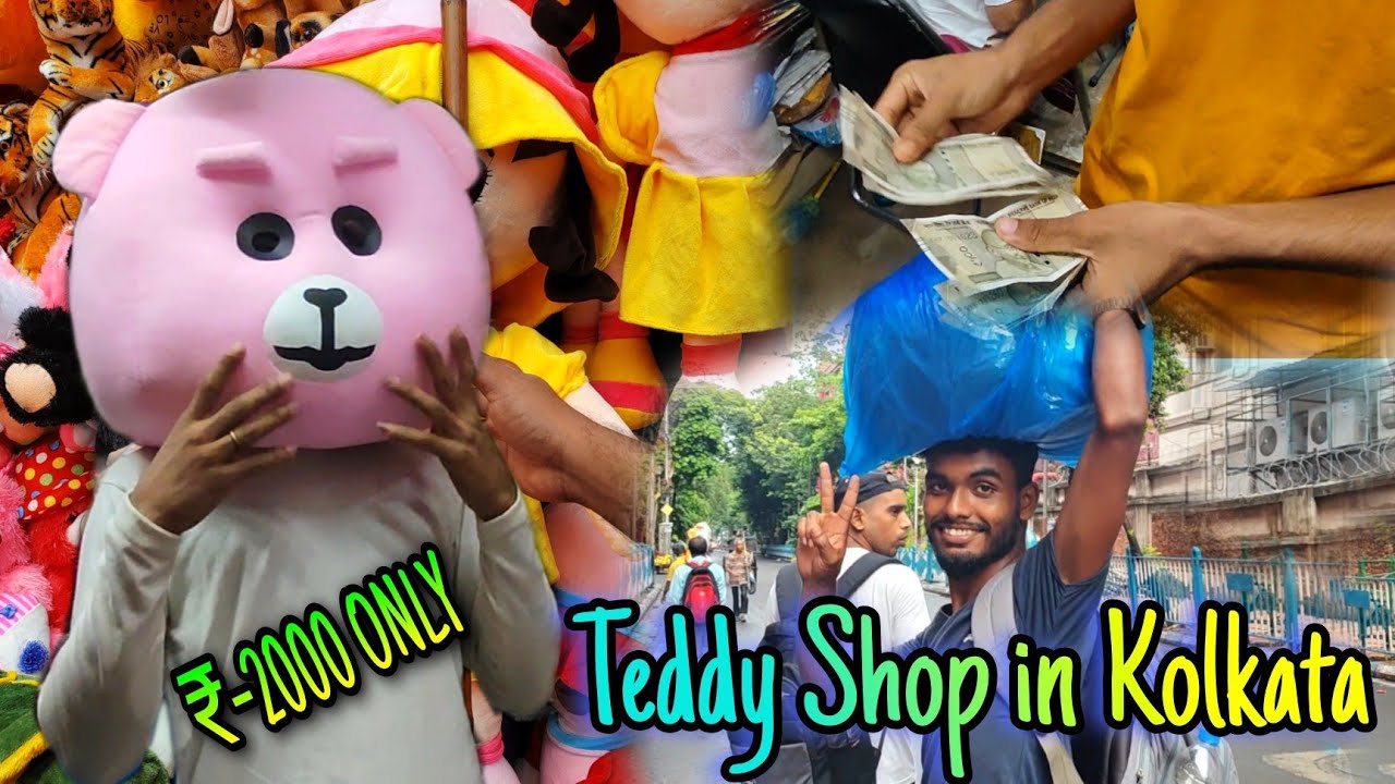 top secret of teddy costume😱 || teddy shop in Kolkata || pink teddy or yellow teddy? #teddycostume