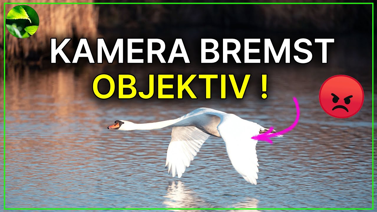 Schock ❗️ Sony A7V blockiert Objektive von Sigma und Tamron?