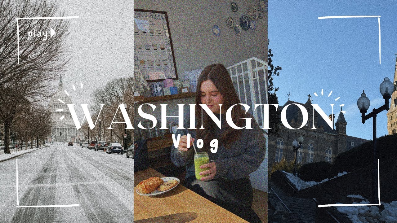 2 Wochen in Washington DC als Hundesitter 🐾 | Sightseeing & Bookshopping 🇺🇸 | pt. 1