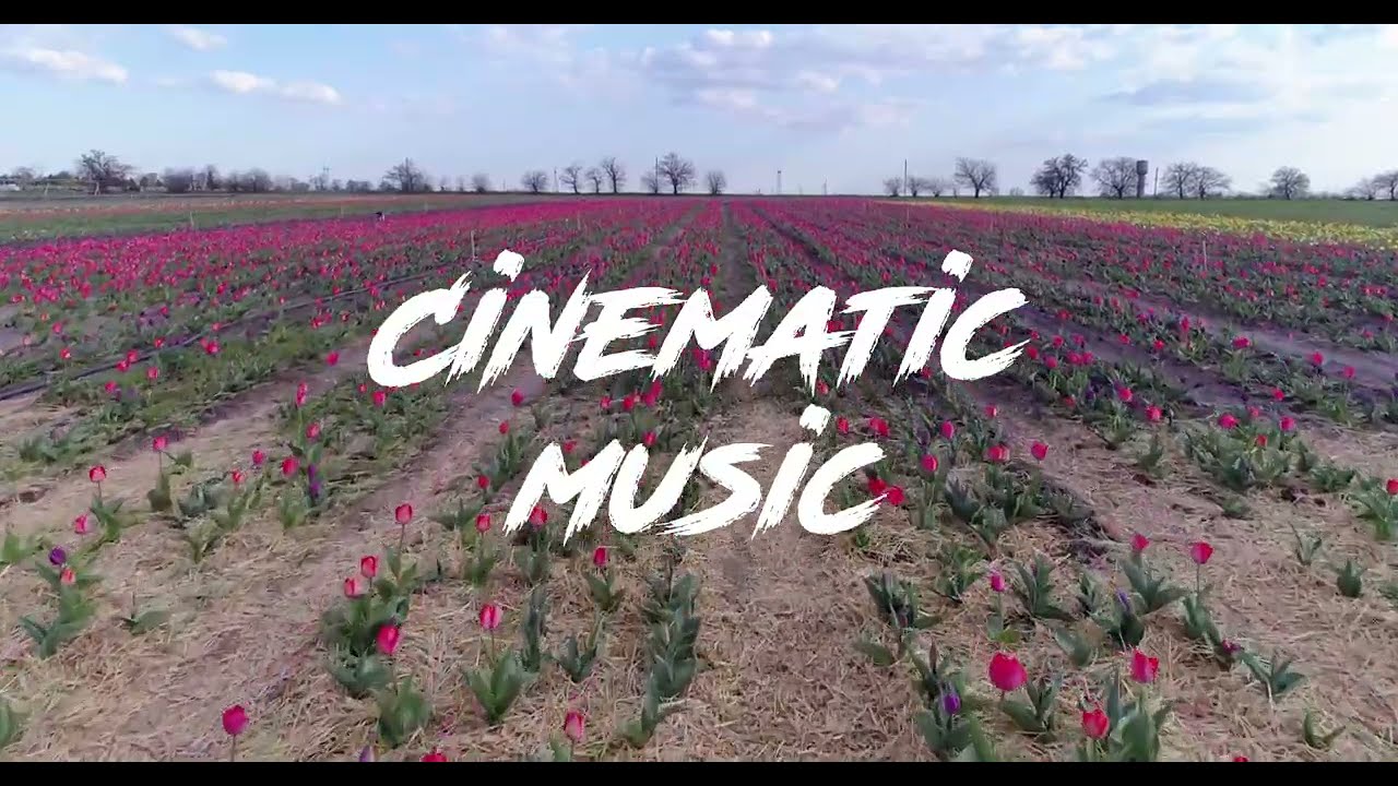 Pictures From The Past - Aleksey Chistilin | Cinematic Music Background | Free Download 4K