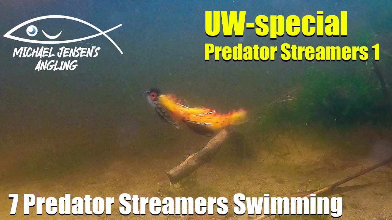 7 predator streamer flies - swimming underwater