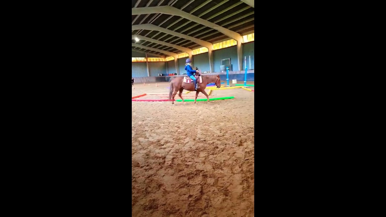 Equitation ludique avec barres de mousse