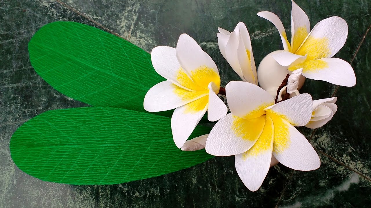 How to make Paper Flowers Plumeria \ Frangipani (flower # 131)