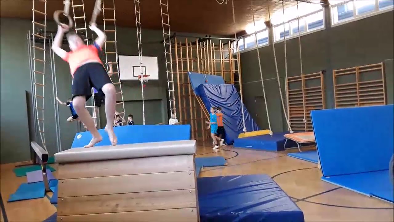 Ninja Warrior NSMSGars