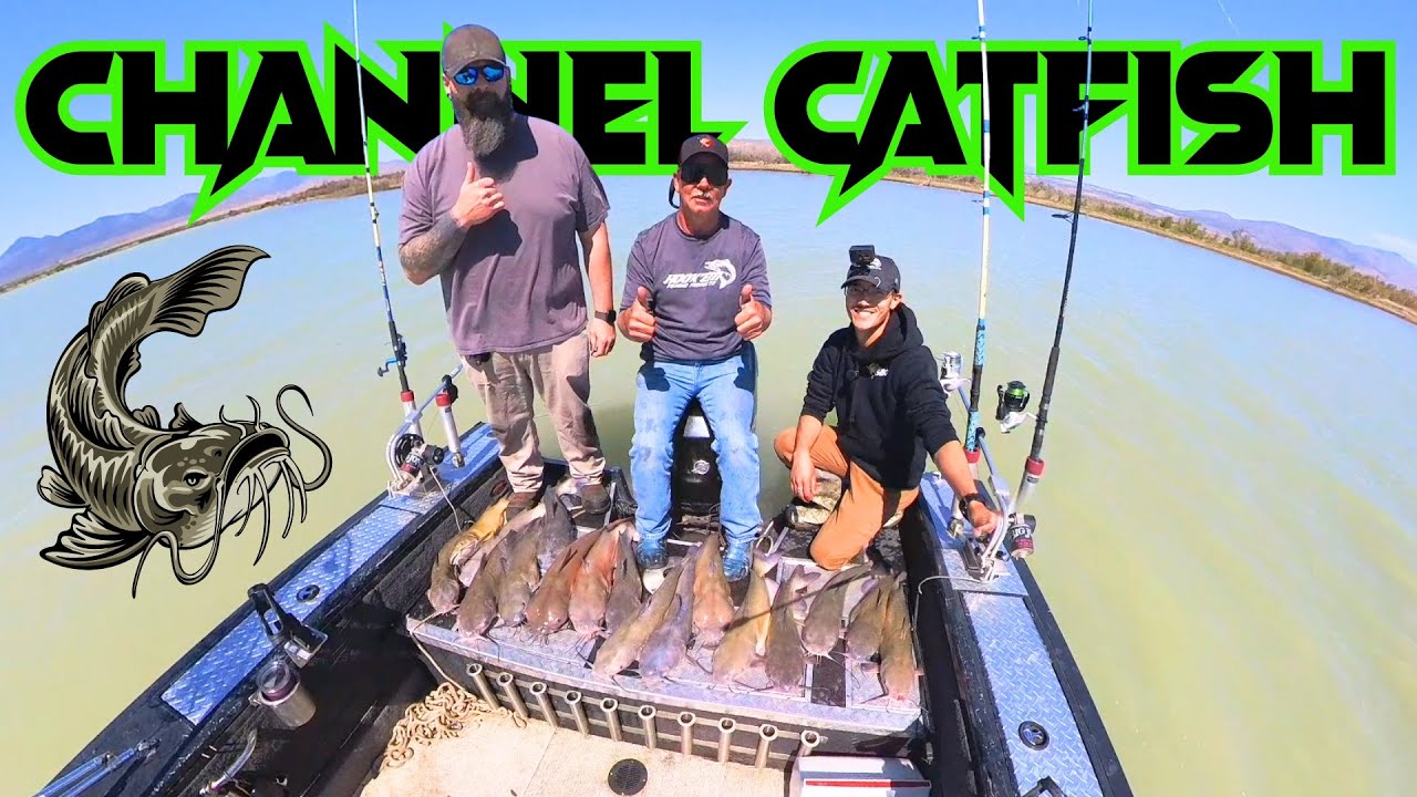 Monsters of Utah- Fishing for Channel Catfish!