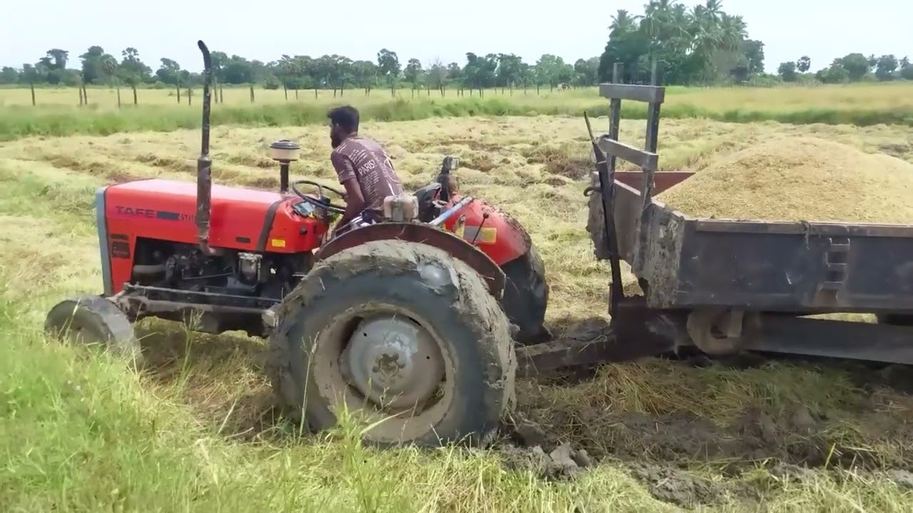 🚜 அறுவடை நெல்லை கொண்டு செல்லும் இழுவை இயந்திரம் | Tractor Transporting Harvested Paddy 🌾✨