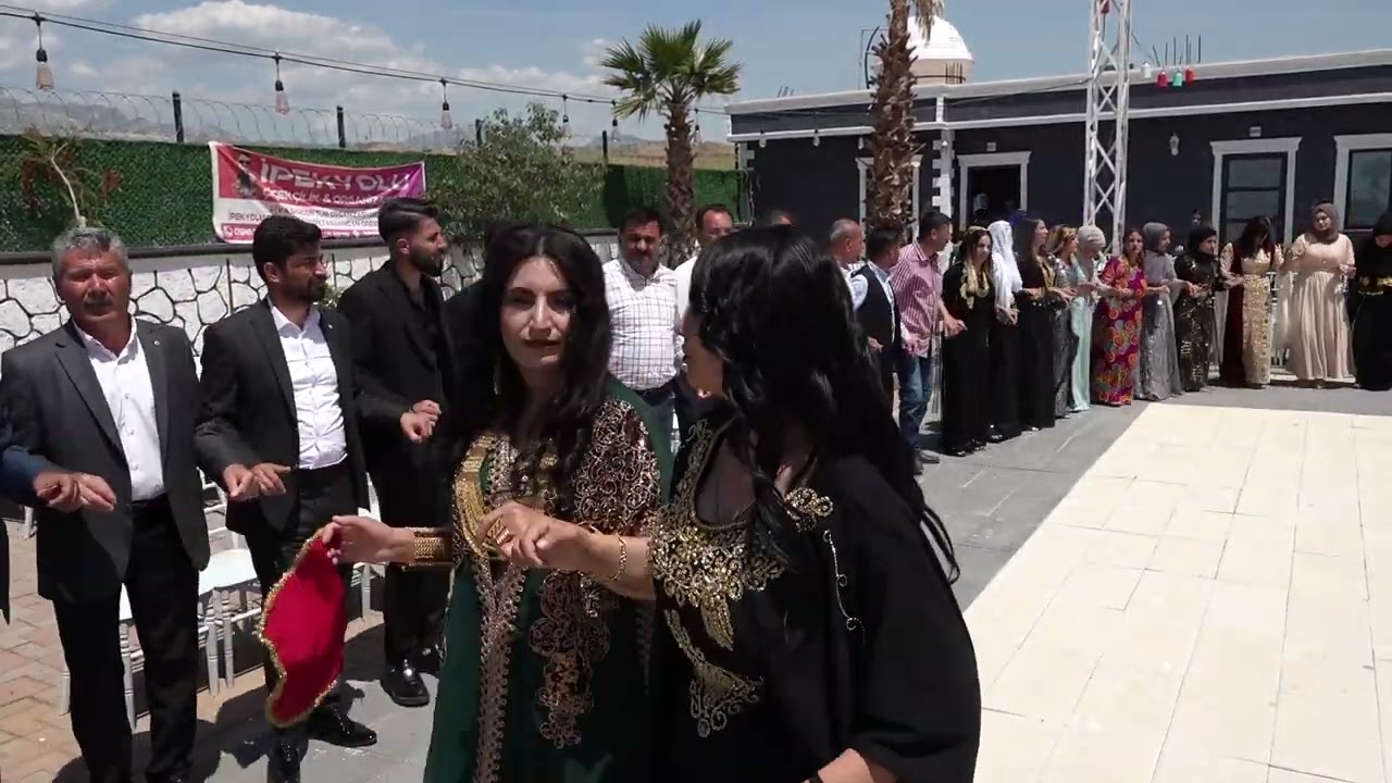 Serhat YALIN Düğünü Part 3 ( Ferhat Ciziri ) 2023