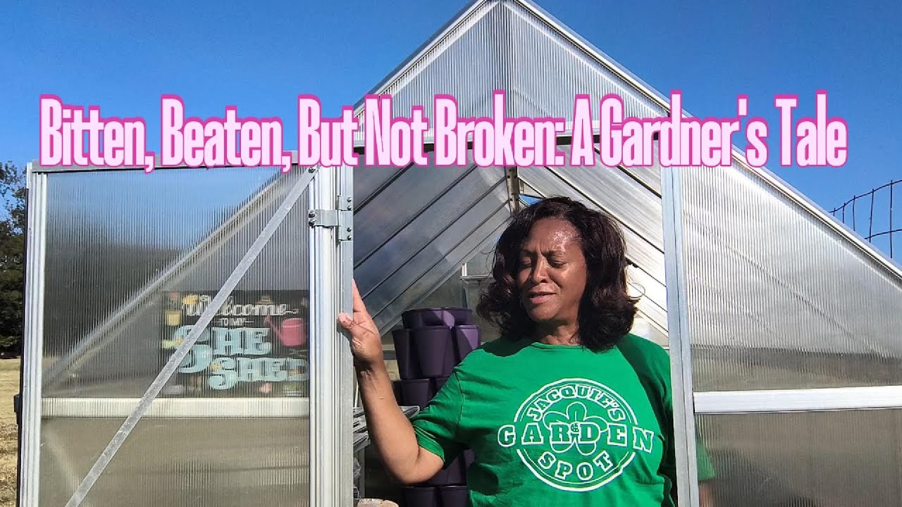 Bitten, Beaten, But Not Broken: A Gardener's Tale
