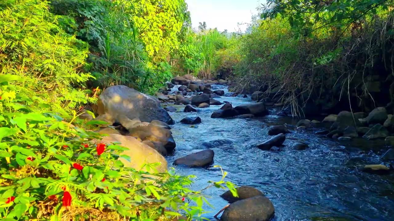 Calming River Flow Ambience For Deep Work & Clear Thought 4K • 1 Hour River Stream Ambience