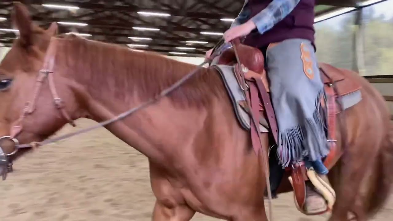 Laken Gortler and Rummy, western dressage basic 1