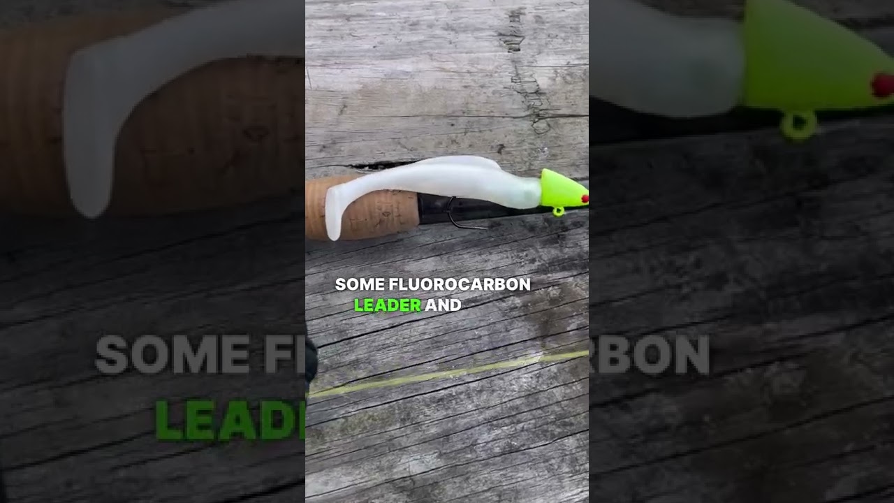 EASY Striped Bass Rig #chesapeakebay #fishingvideo #stripedbass #fishing