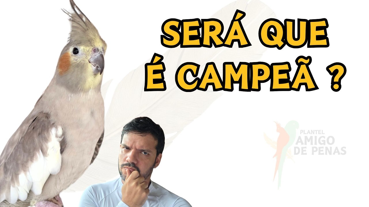 OBSERVANDO O DESENVOLVIMENTO
