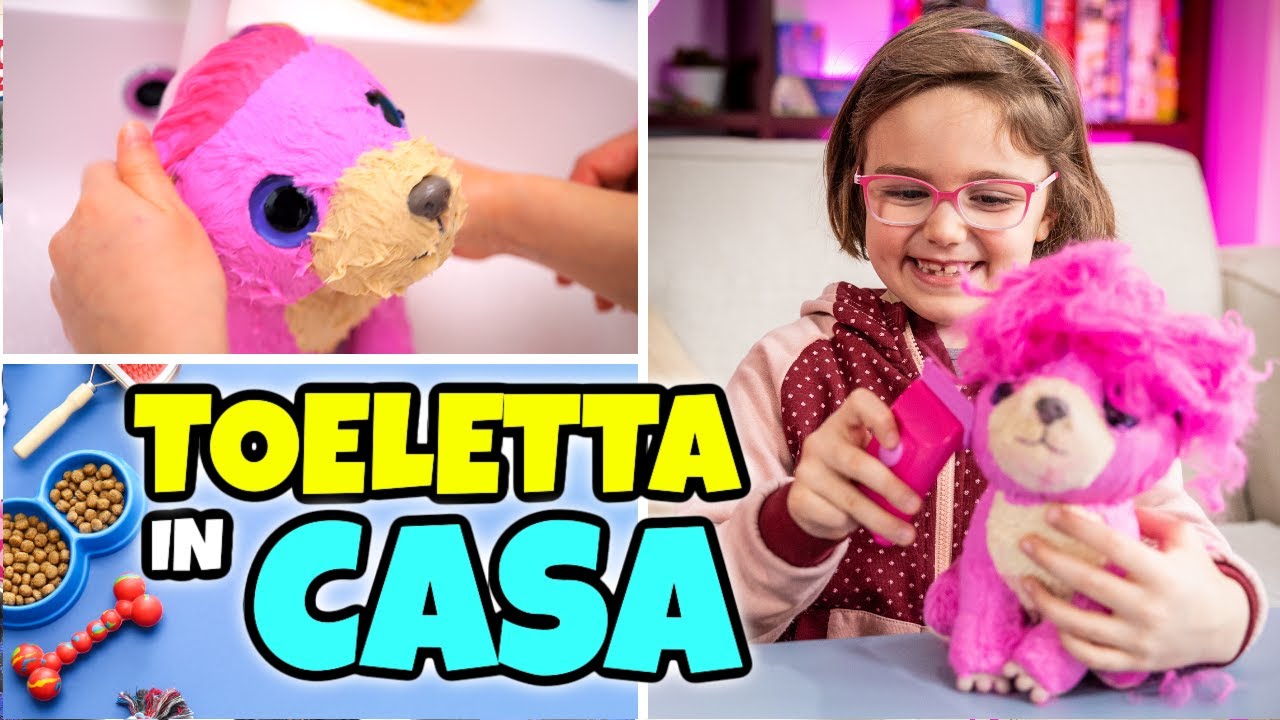 MATILDE PARRUCCHIERA PER CANI fa la TOELETTA a un Cucciolo di Peluche
