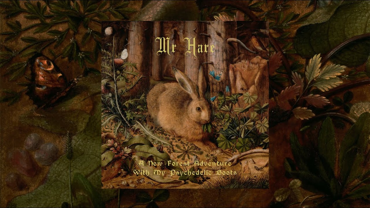 Mr Hare - A New Forest Adventure With My Psychedelic Boots (2025)