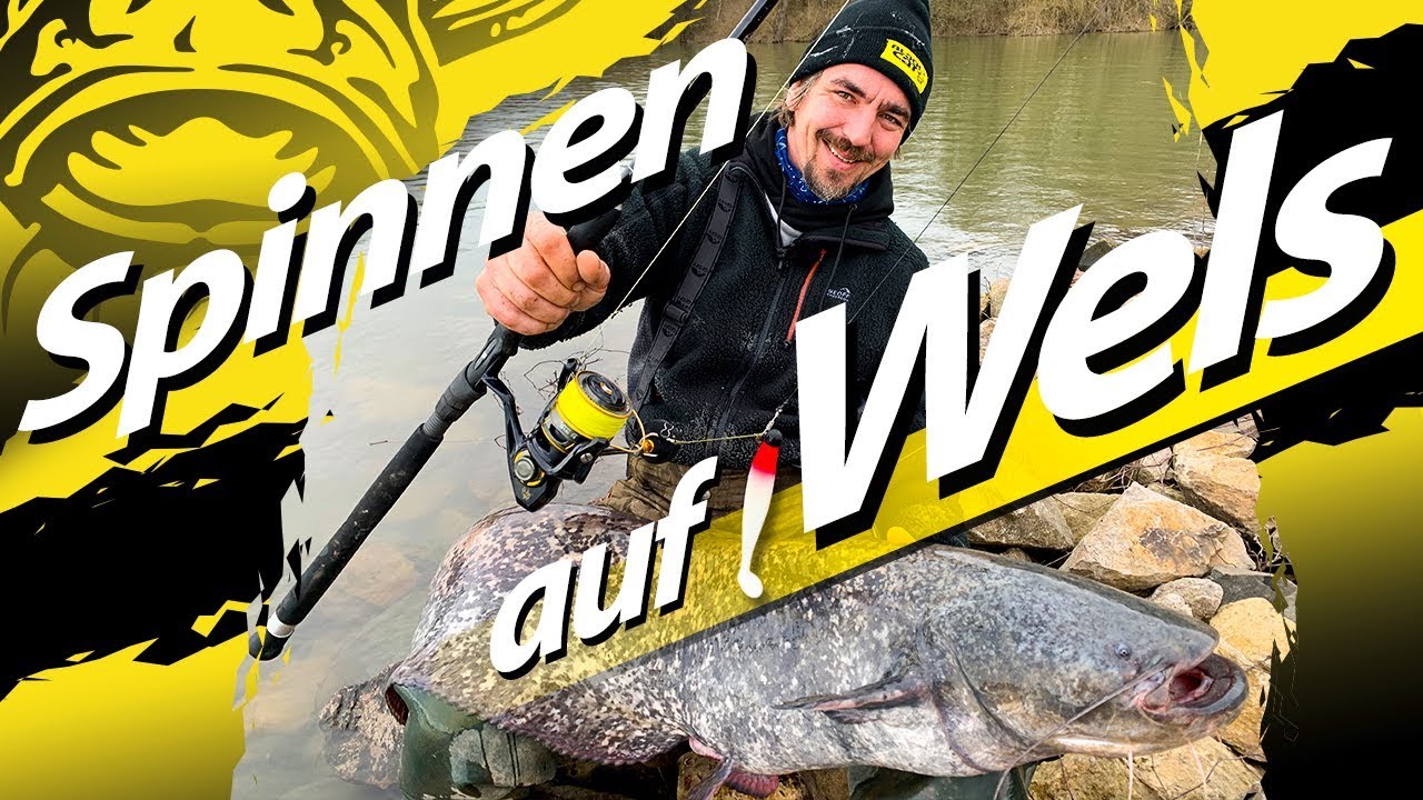 Welsangeln mit der Spinnrute in Deutschland | Auf Waller mit Blinker und Gummifisch