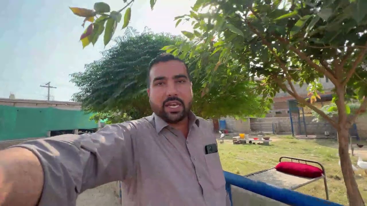 Dog Ko Waps Behj Dia |2 Chozzon Ko Birds Aviary Se  Bahr Shift Kar Dia 🐤🐥