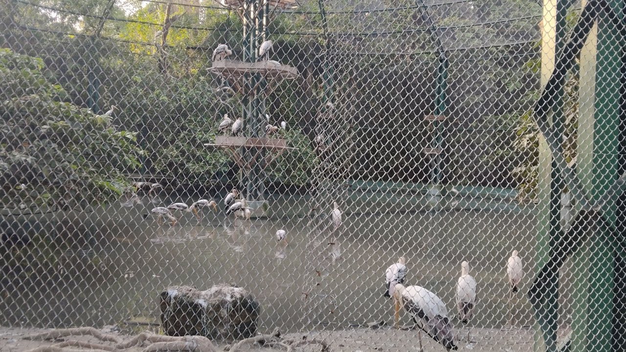 Alipore Zoo kolkata 2026 || kolkata Zoological garden ||Alipore Zoo 