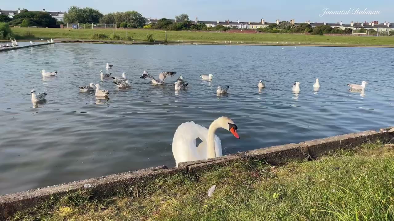 Beautiful Waterloo Beach Liverpool England / Crosby Marina View / Amazing Place in UK 🇬🇧