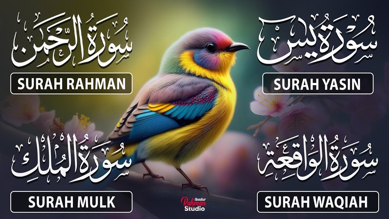 Most Beautiful recitation of Rahman • Yasin (Yaseen) • Al-Mulk • Al-Waqiah