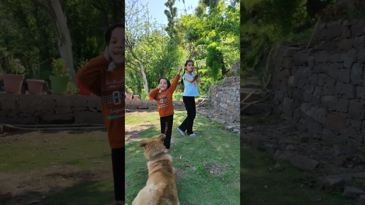 Dog 🐶enjoying our dance💃💃 #sisters #vlog #viral #pet lovers