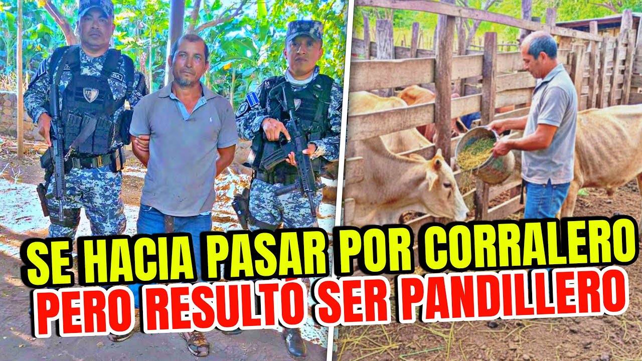 LE CAYERON HASTA UNA HACIENDA A PANDILLERO QUE SE HACÍA PASAR COMO UN CORRALERO PARA EVADIR LA LEY 