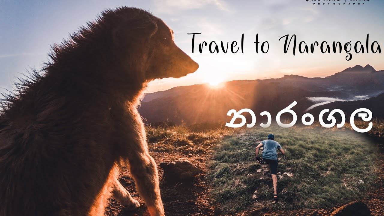 Travel to Narangala l නාරංගල l Sri Lanka