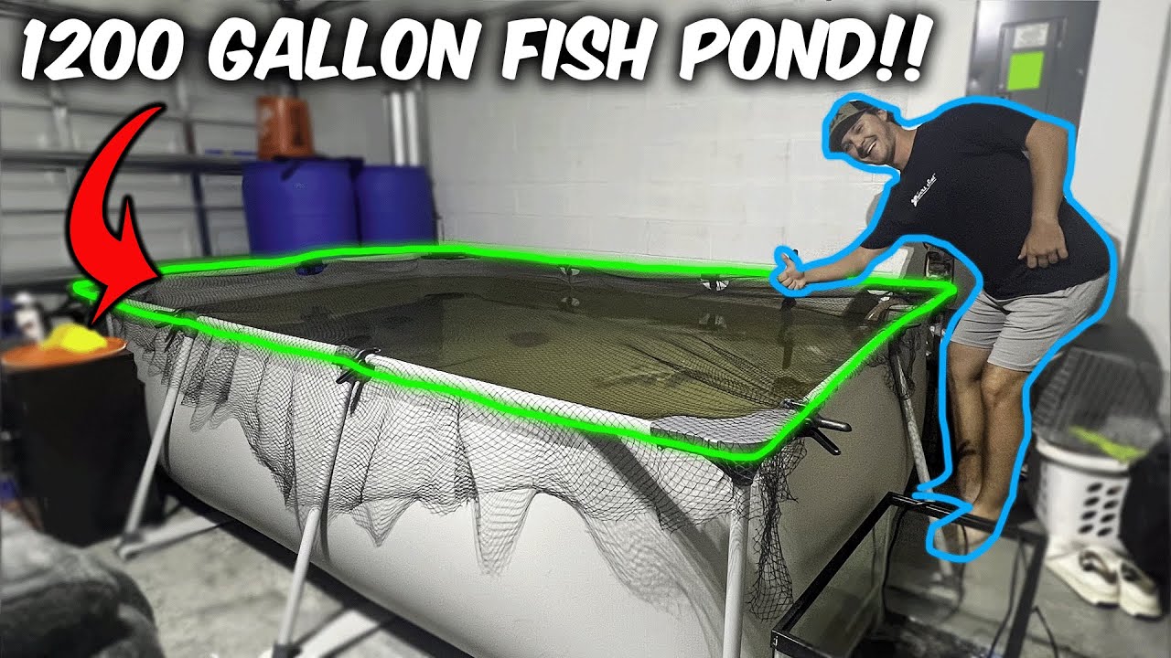SETTING UP a 1200 GALLON PREDATOR FISH POND in my garage!!!