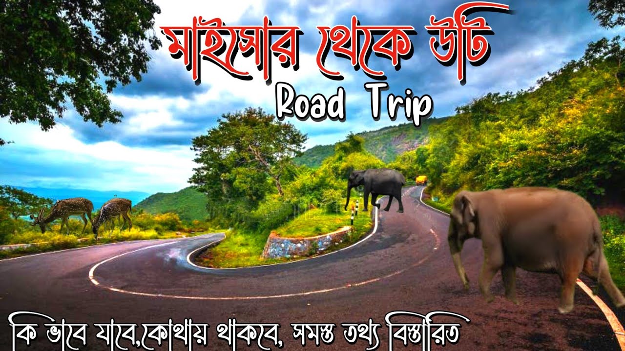 Mysore To Ooty Road Trip | Ooty Tour 2025 | Ooty Hotel Near Railway Station | উটি | Ooty In Monsoon