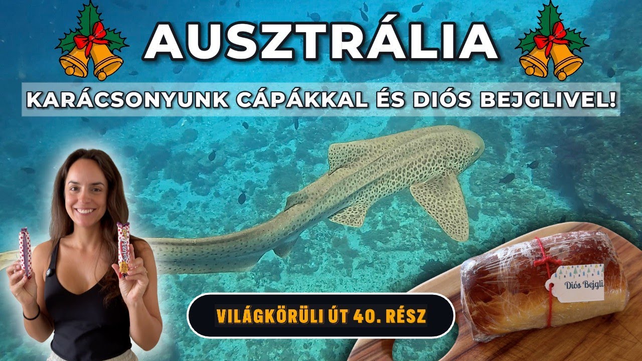 ERRE A KARÁCSONYRA ÖRÖKRE EMLÉKEZNI FOGUNK!🤯🦈🇦🇺 40. rész | Debi & Balu