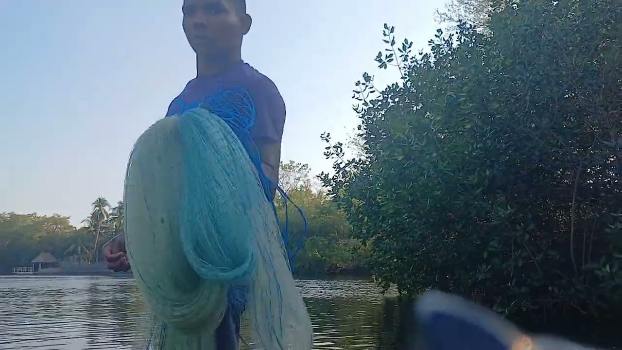 PESCANDO EN EL MANGLAR