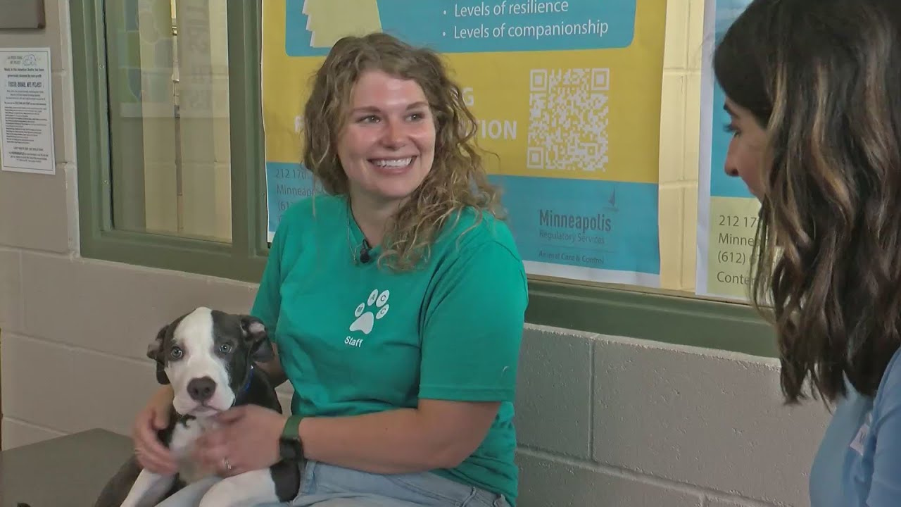 All pets adopted at Minneapolis Animal Care & Control's free adoption event