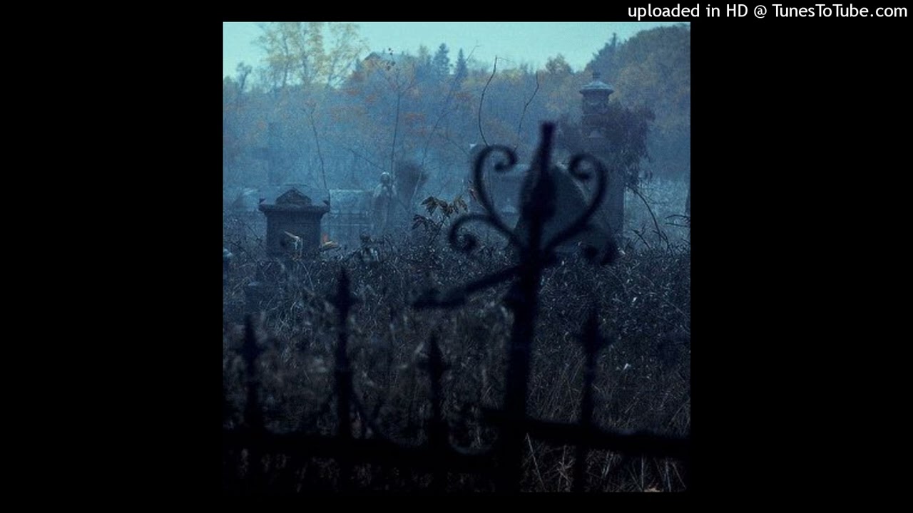 quannnic + deftones + heavyshoegaze type beat - collapse