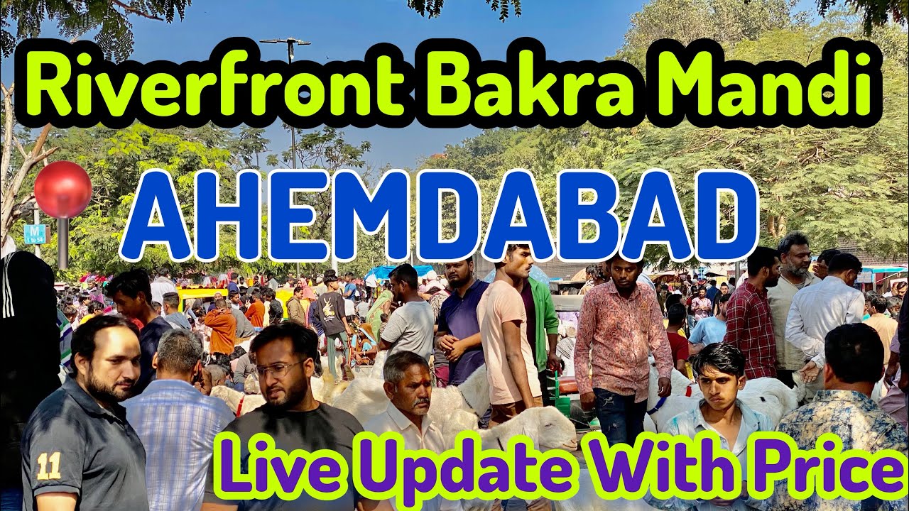 AHEMDABAD RIVERFRONT BAKRA MANDI || BIGGEST MANDI IN AHEMDABAD 🔥 || ARS GOATS
