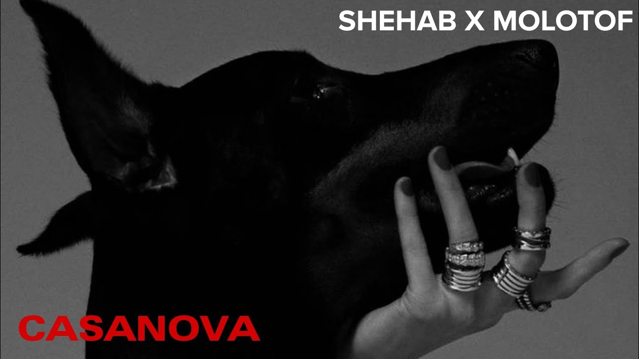 Molotof X Shehab - Casanova || شهاب و مولوتوف - كازانوڤا