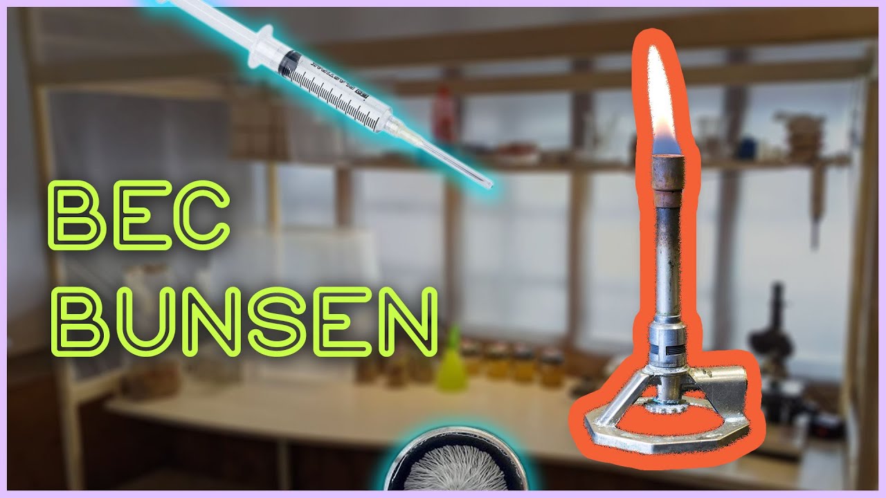 🍄 Le BEC BUNSEN [ Principes et Fonctionnement ]