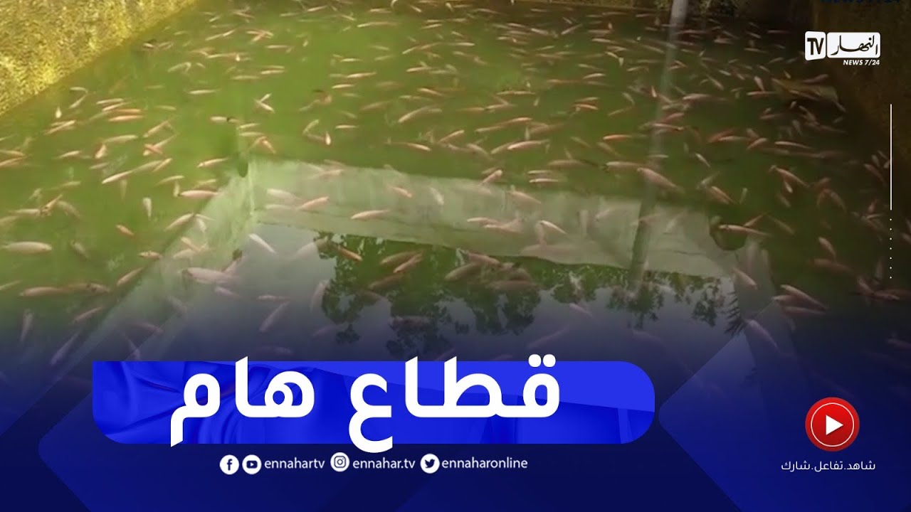 ورقلة : تربية المائيات..ثروة هامة أصابها الركود