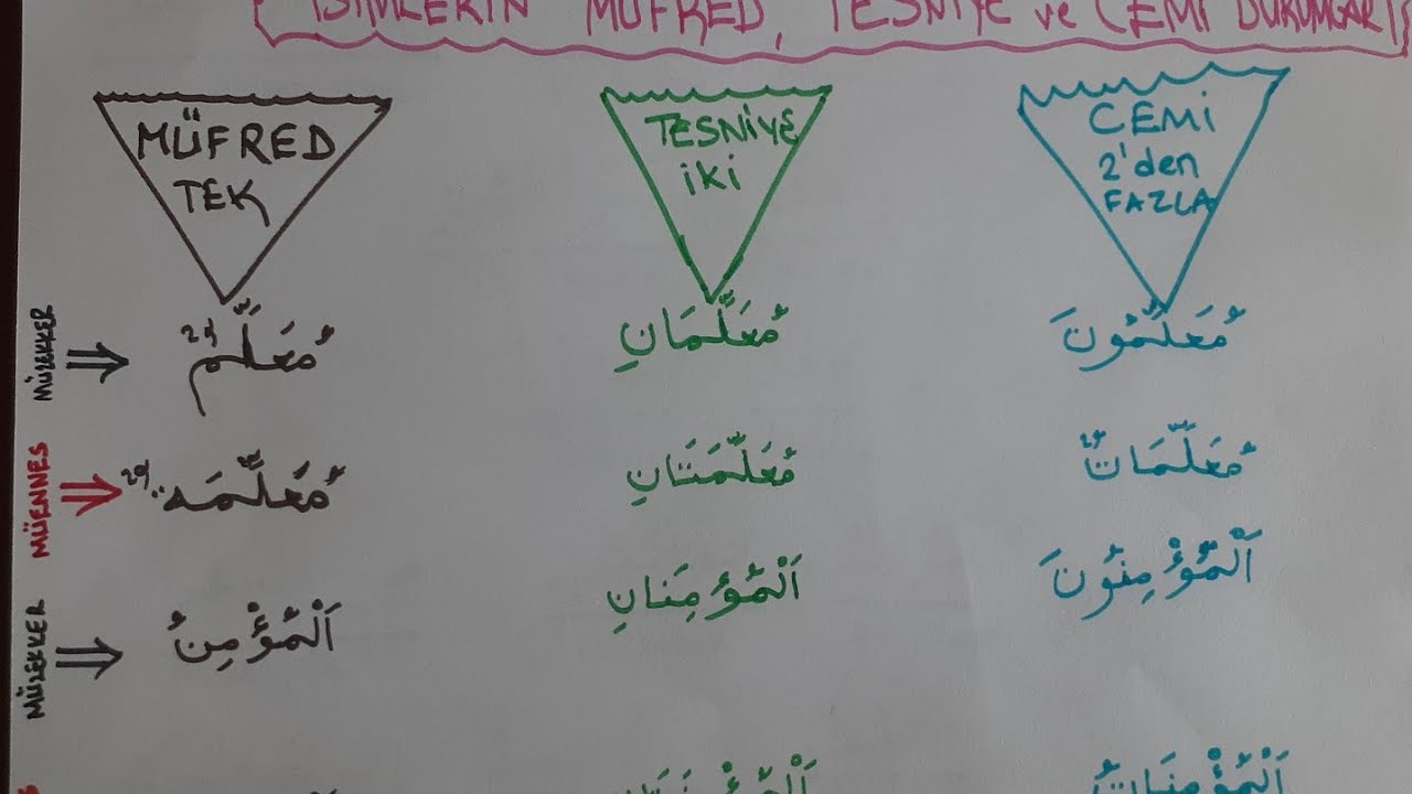 23.Ders Müfred-Tesniye-Cemi İsimler
