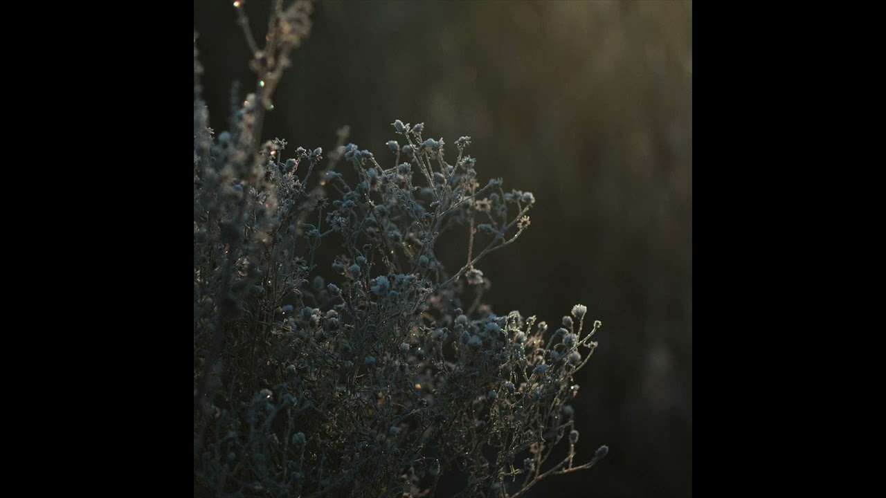 Hope - Hideyuki Hashimoto (Official Audio)