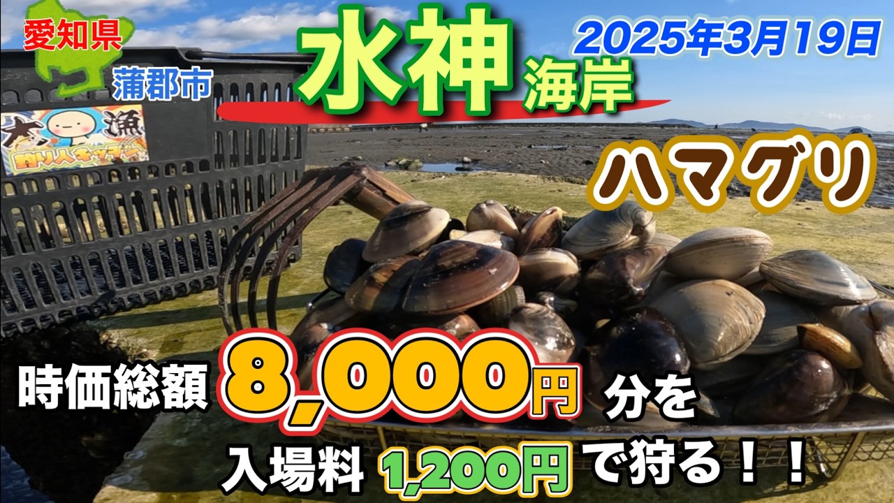 チャレンジ❗️時価総額8,000円分のハマグリを1,200円で採る。