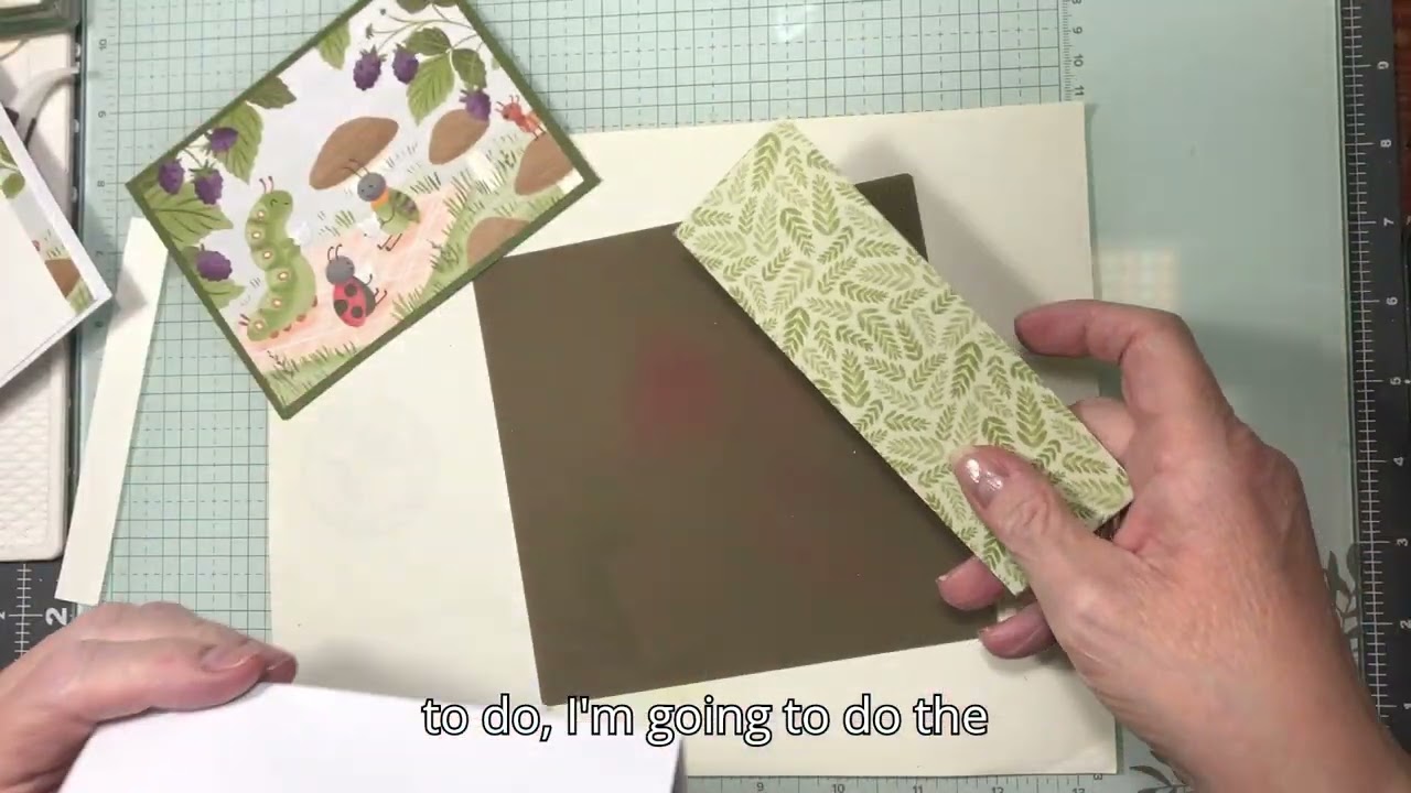 Cute as a Bug DSP Card