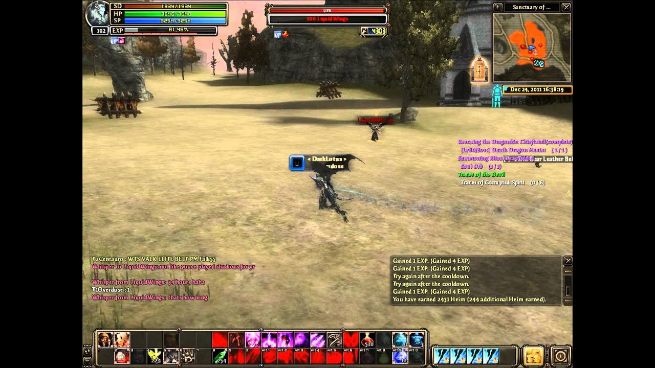 Soul Of The Ultimate Nation PVP DDK Vs Shadow LVL 100