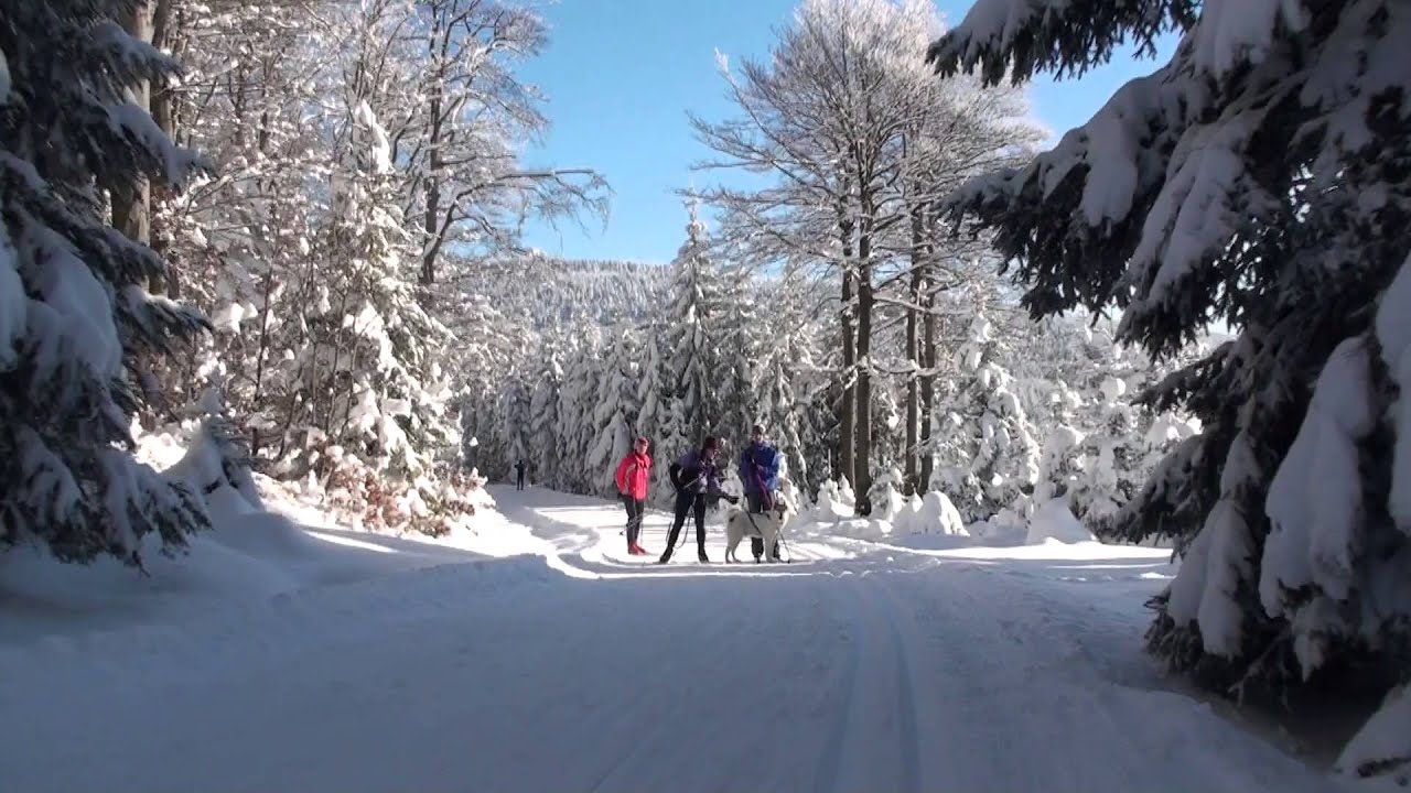 Jizerské hory na běžkách - videoprůvodce malým kolečkem