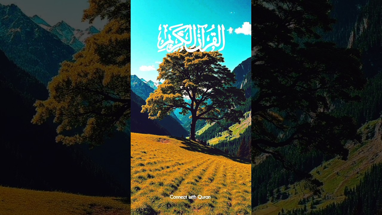 Beautiful Quran Translation #Allah #quran #islam #connectwithquran #qurantranslation #shorts #love